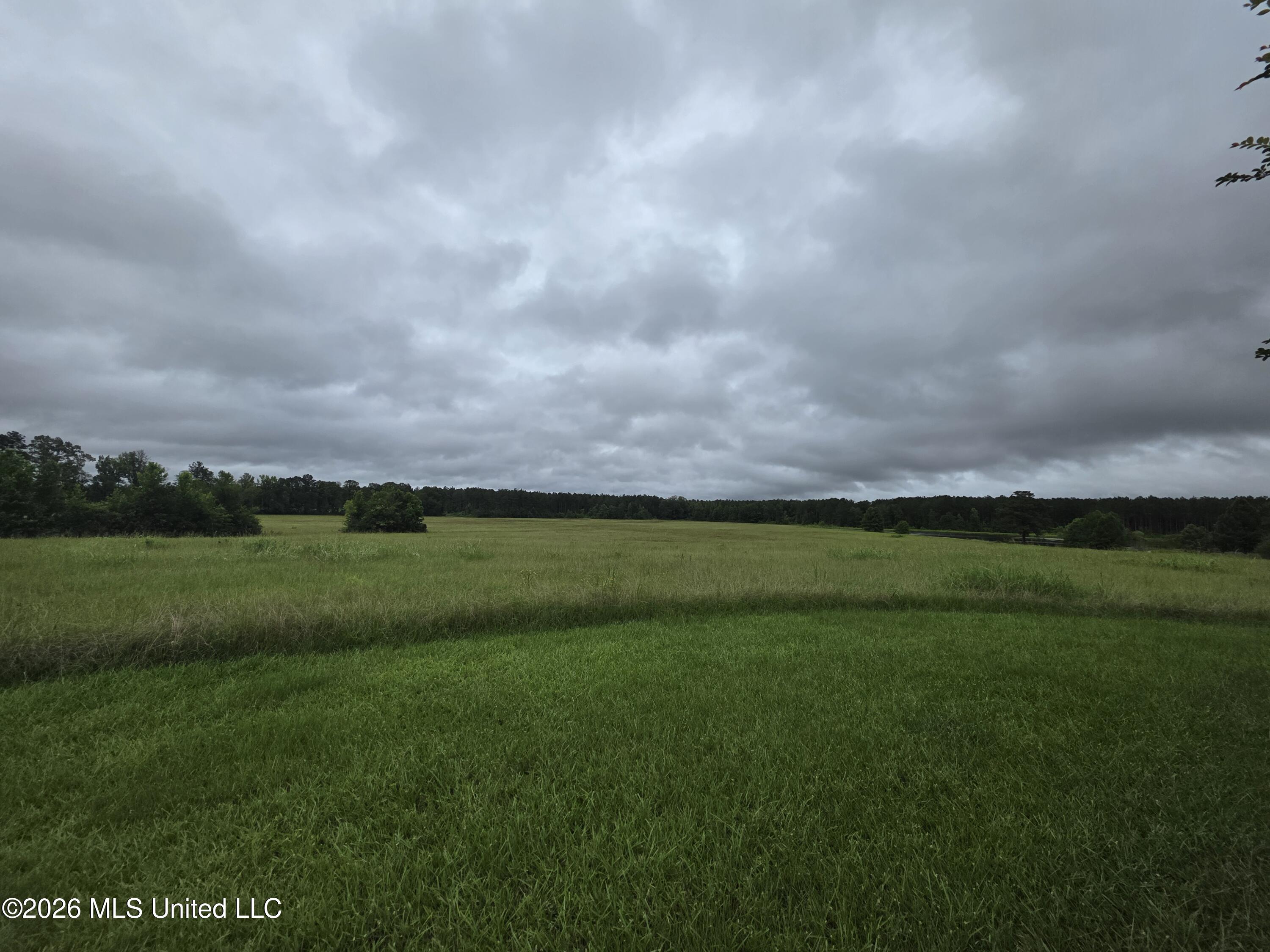 244 Foster Road Sontag, MS 39665 - Photo 26 of 105 35398