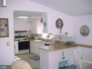 165 Pine Tree Road Ocean City, MD 21842 - Photo 3 of 6 Gallery Image 3
