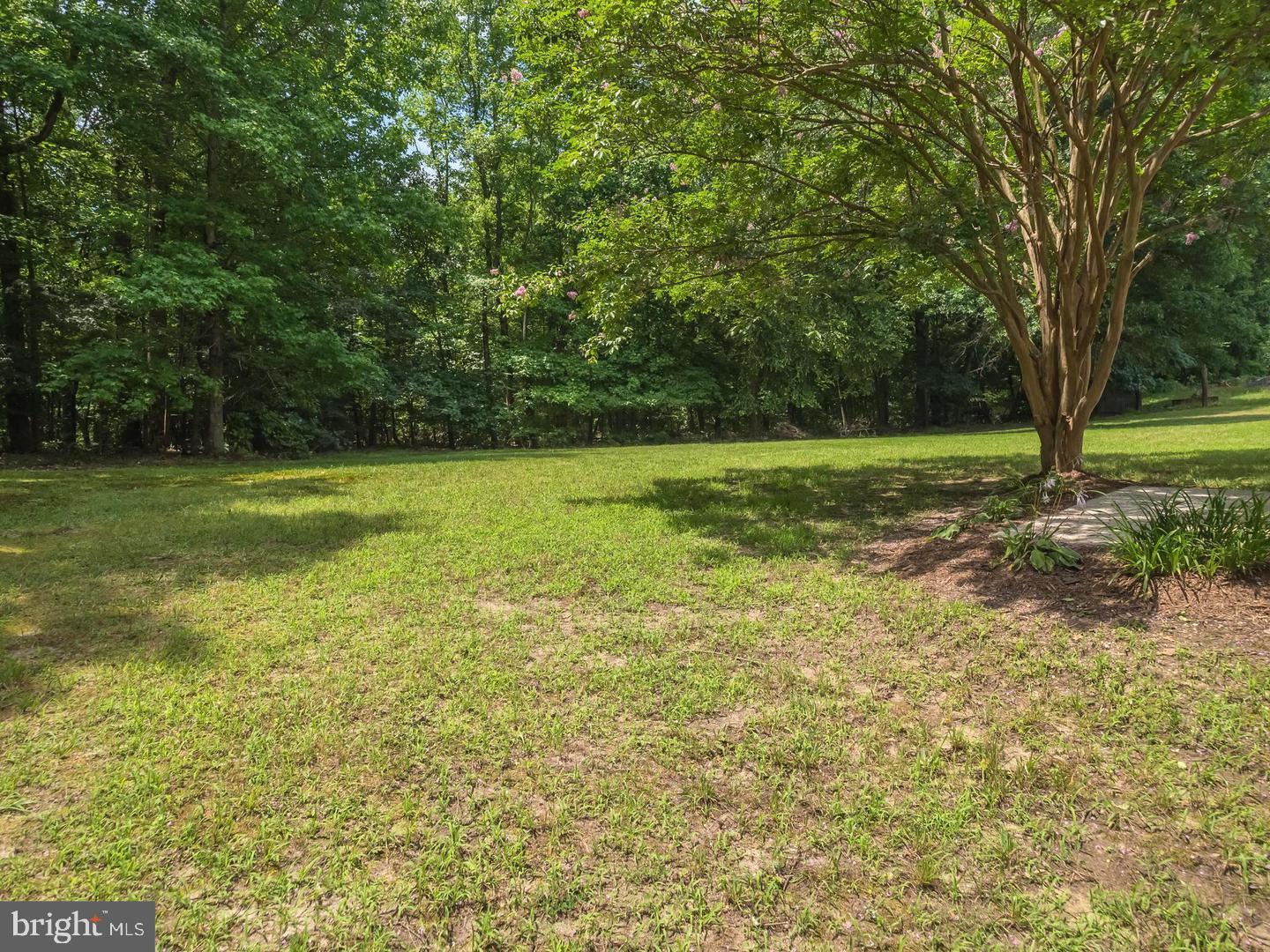 7701 Croom Road Upper Marlboro, MD 20772 - Photo 5 of 53 Serene green space under a shady tree.