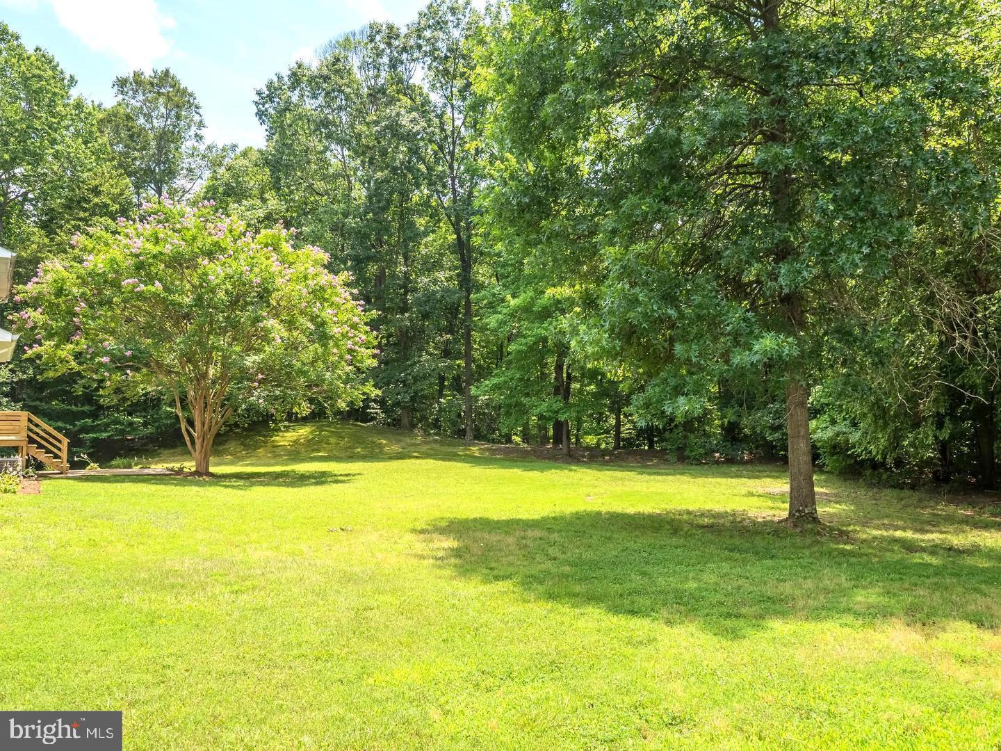 7701 Croom Road Upper Marlboro, MD 20772 - Photo 8 of 53 Lush green oasis surrounded by towering trees.