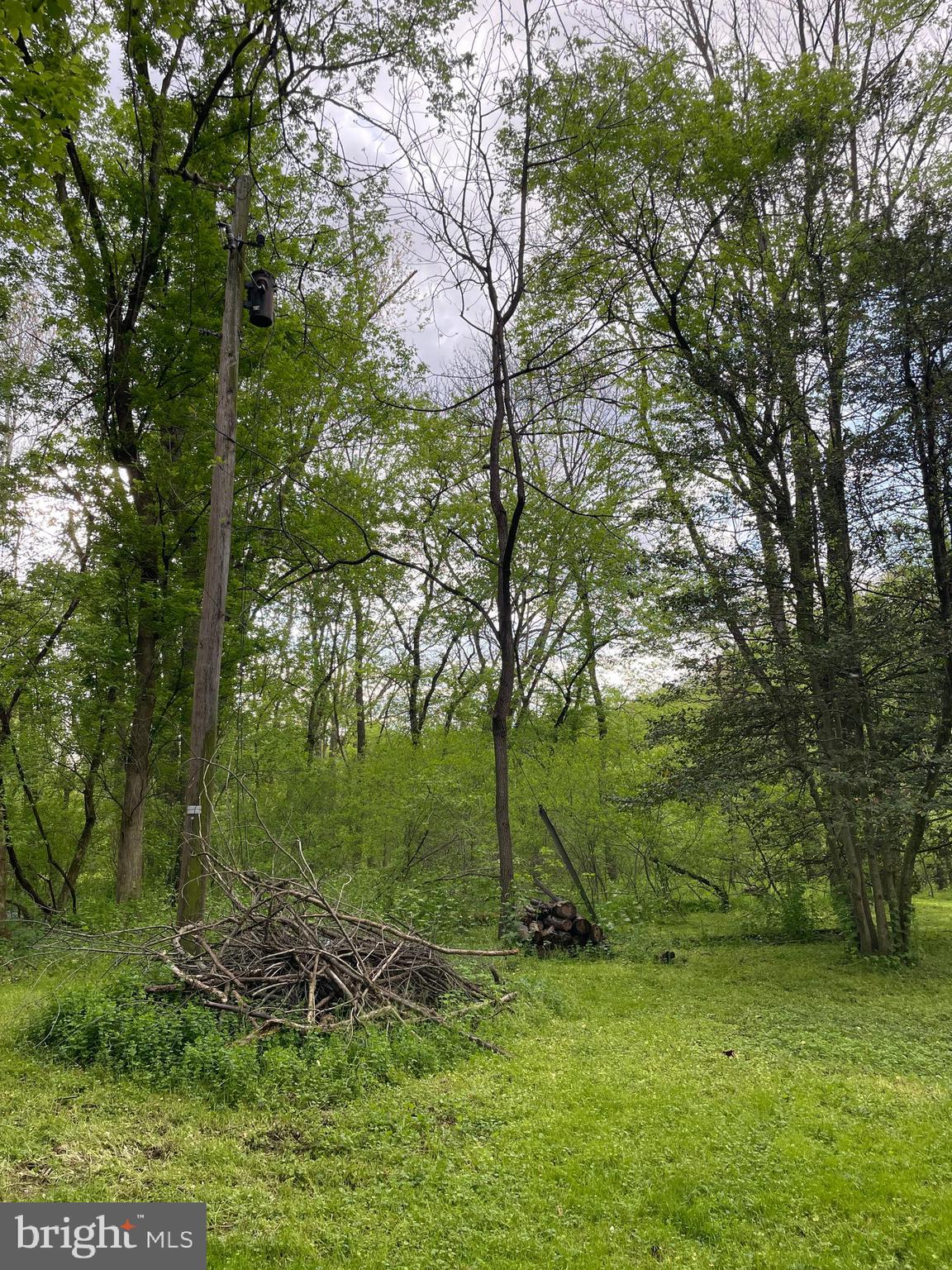 0 River Road Pequea, PA 17565 - Photo 9 of 28 a view of a backyard