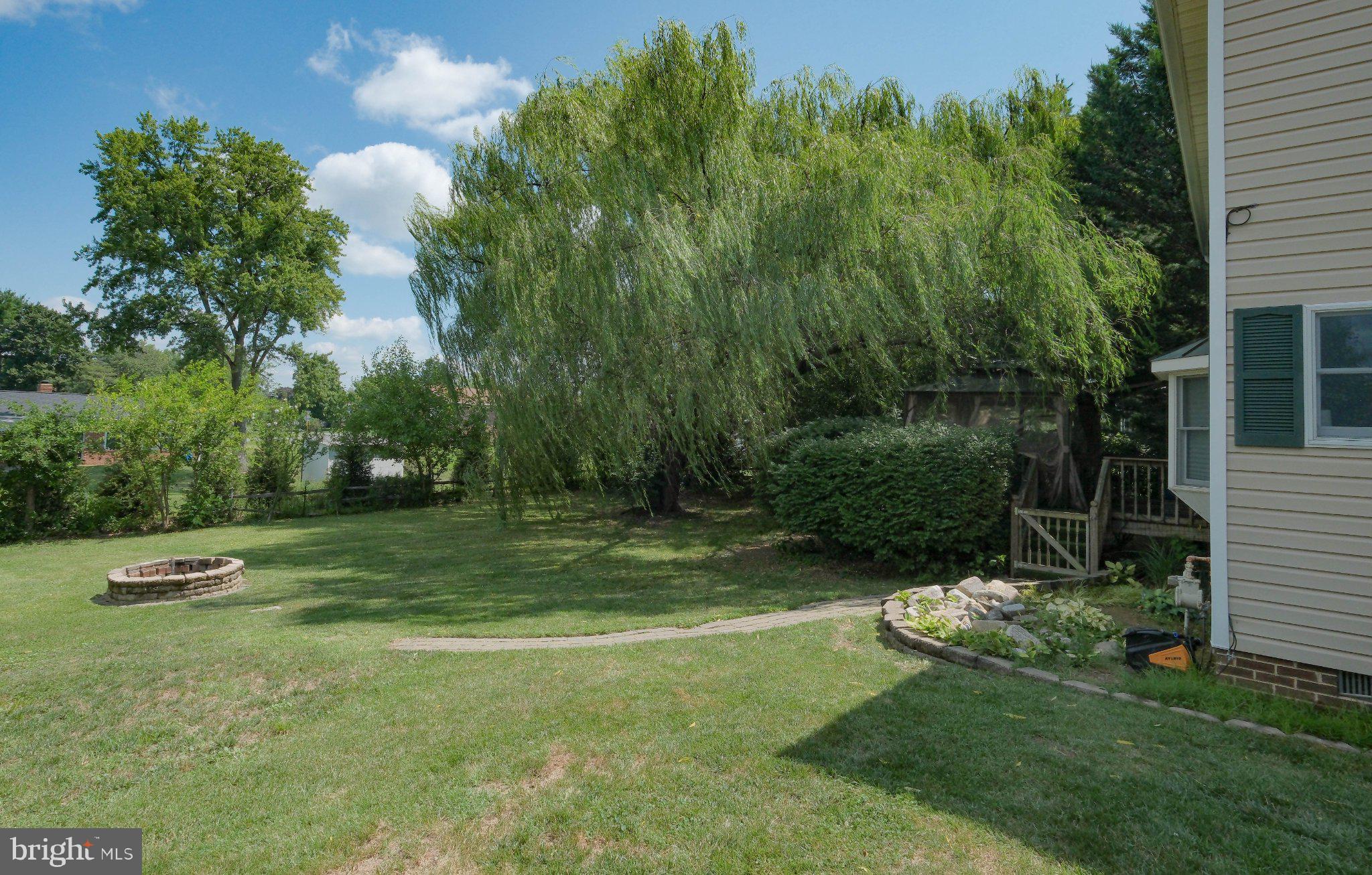 1163 Tasker Road Stephens City, VA 22655 - Photo 42 of 46 Lush backyard oasis with serene trees.