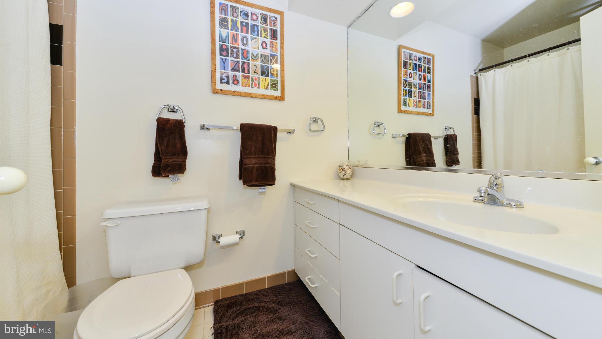 2004 Turtle Pond Drive Reston, VA 20191 - Photo 22 of 30 Upper Hall Bath