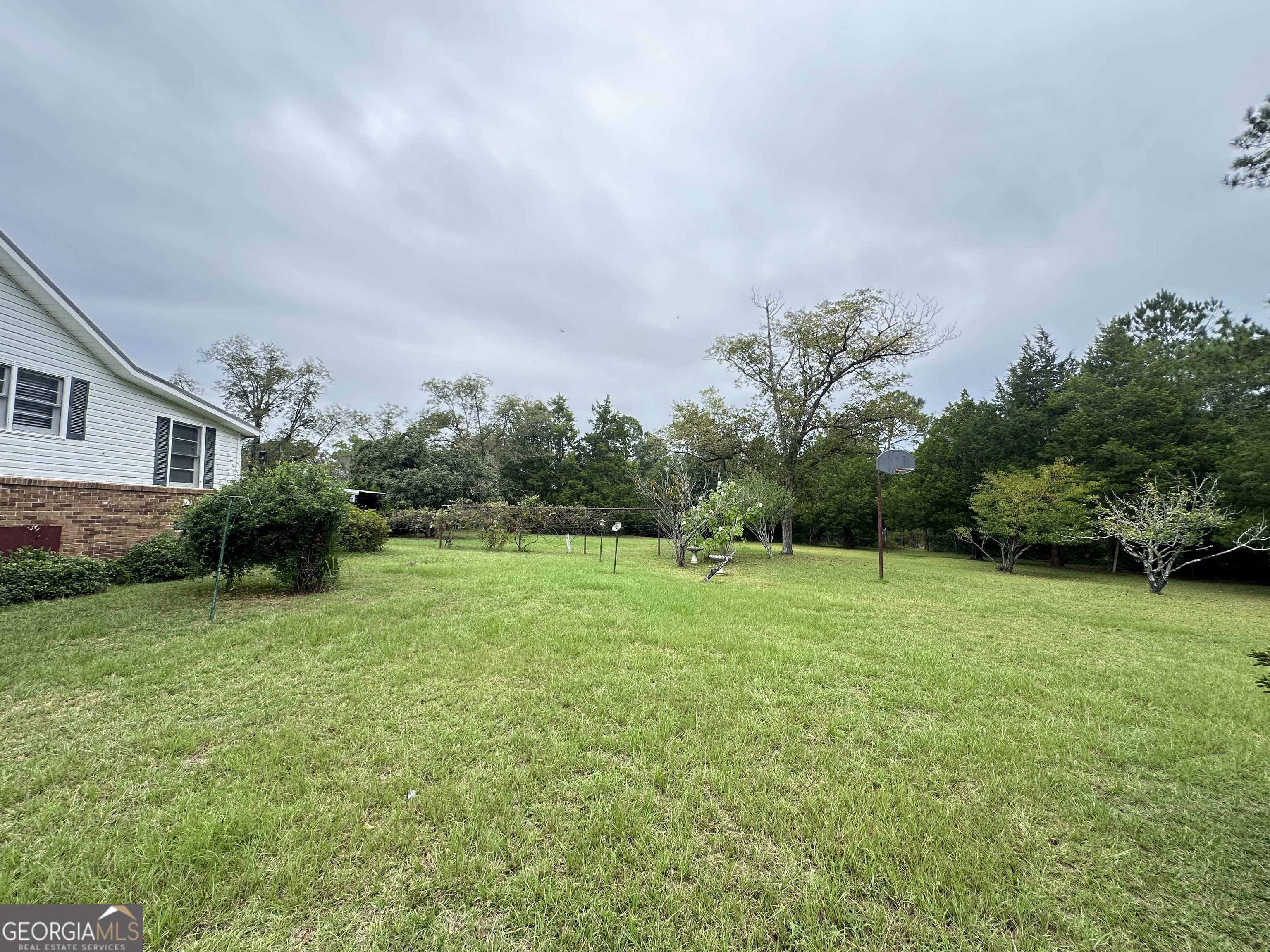 17 2nd Street McRae-Helena, GA 31037 - Photo 4 of 34 a backyard of a house with plants and large trees