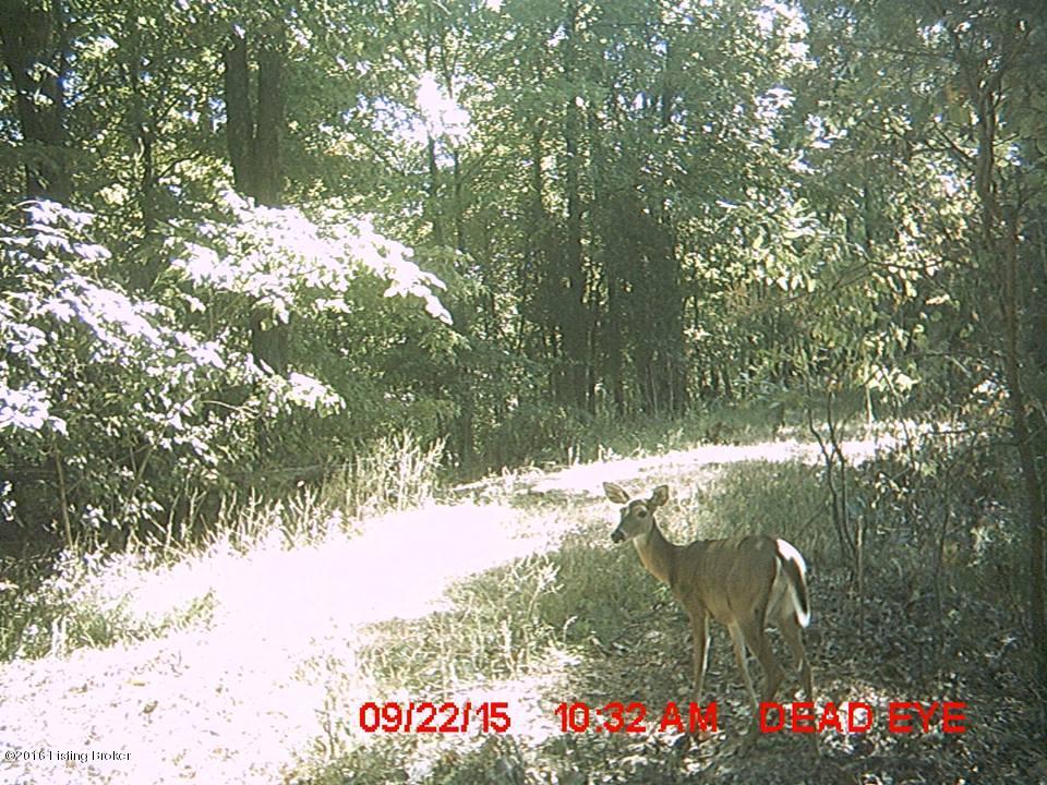 4981 Knob Creek Road Brooks, KY 40109 - Photo 25 of 25 13183150_10209724631616428_1224381958_n