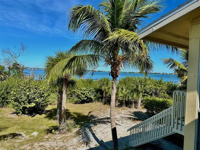 a view of backyard and tree