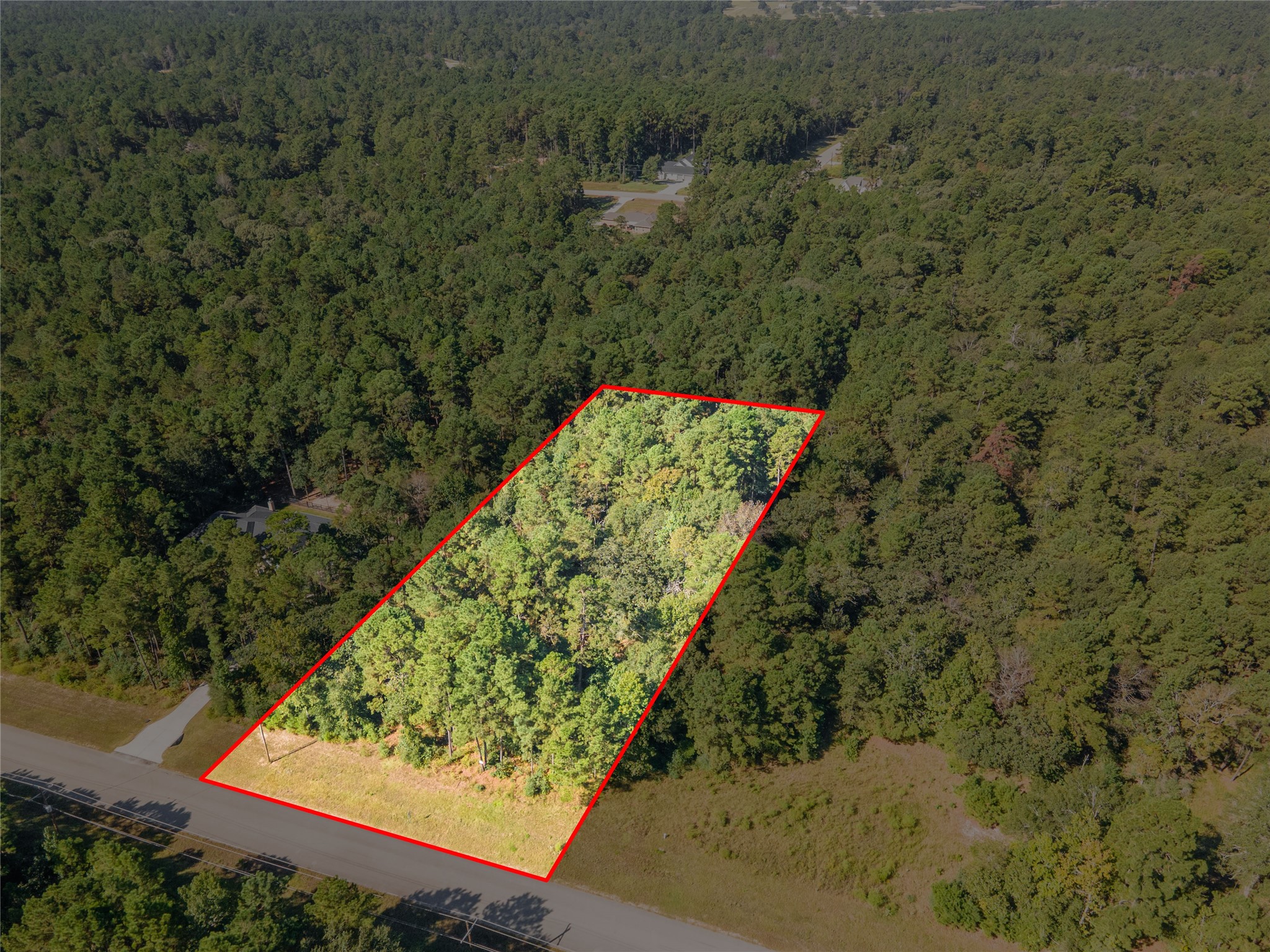 185 Rim Rock Road Huntsville, TX 77340 - Photo 6 of 18 2.25 Acres