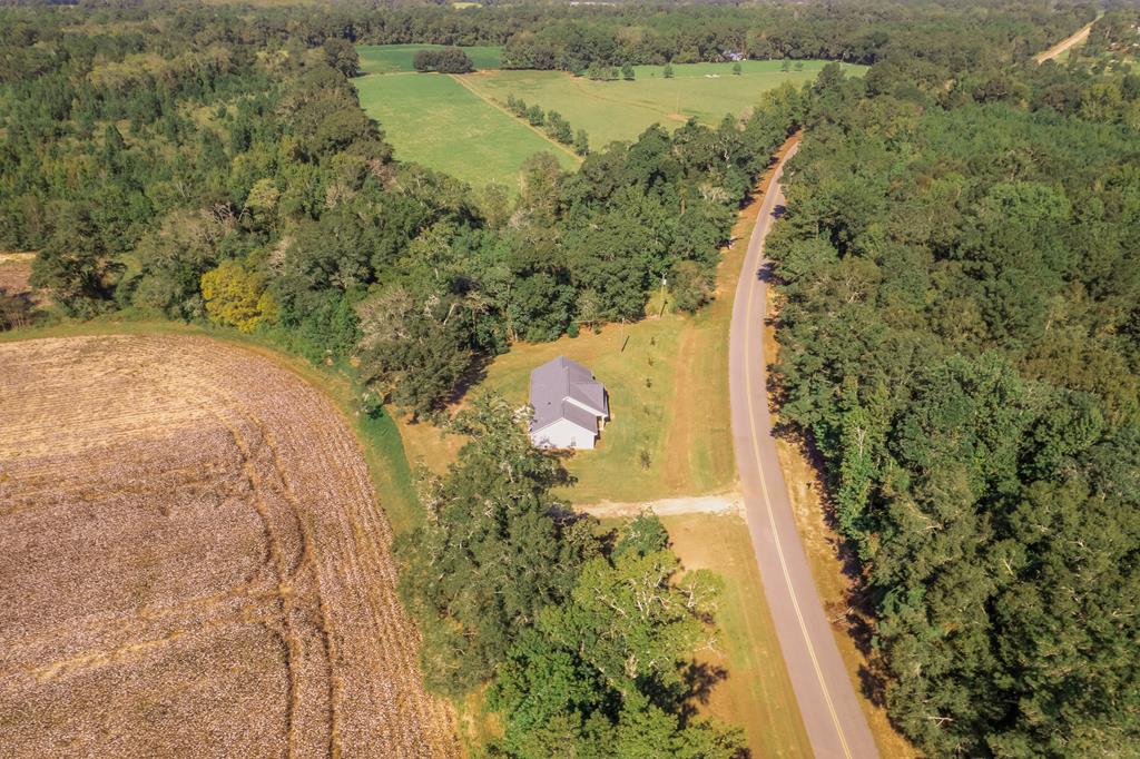 1365 Lonnie Road Slocomb, AL 36375 - Photo 50 of 53