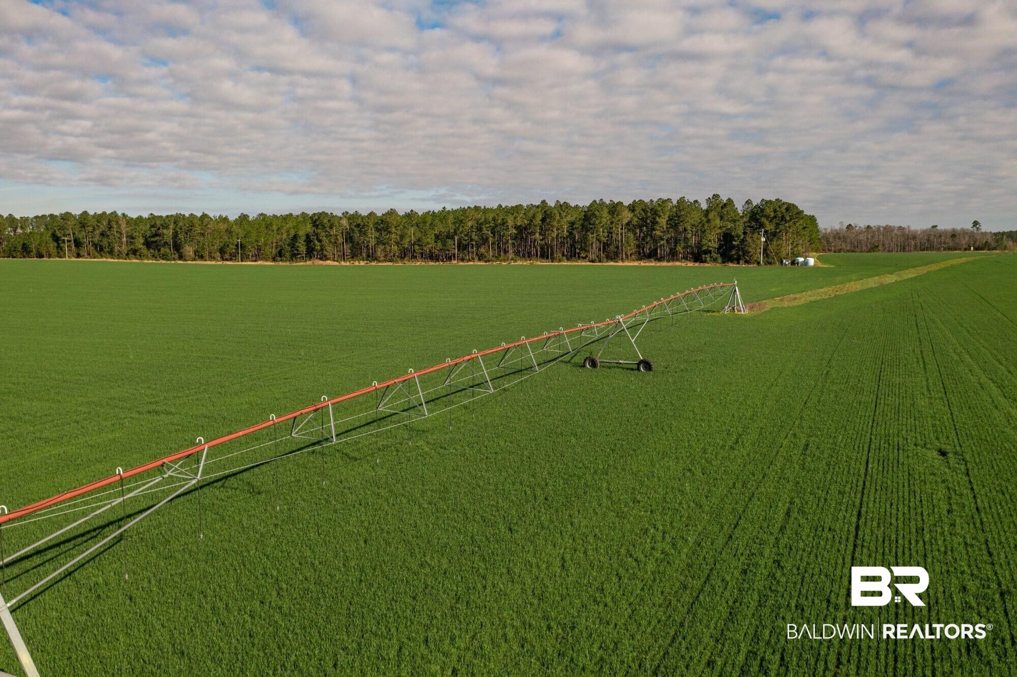 0 County Road 91 Elberta, AL 36530 - Photo 2 of 25 View of yard featuring a forest view