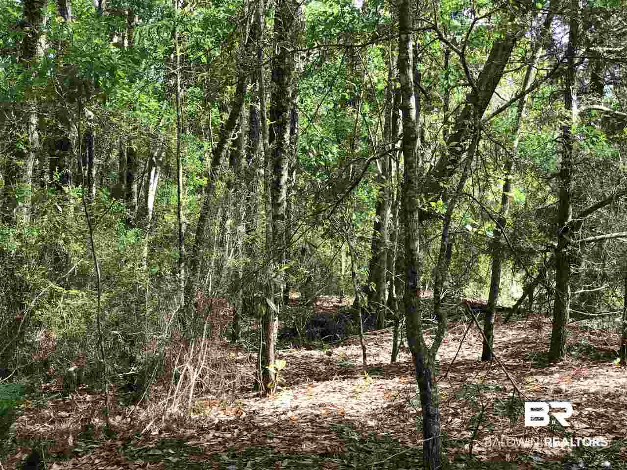 0 Boynton Road Elberta, AL 36530 - Photo 15 of 29 Gallery Image 15