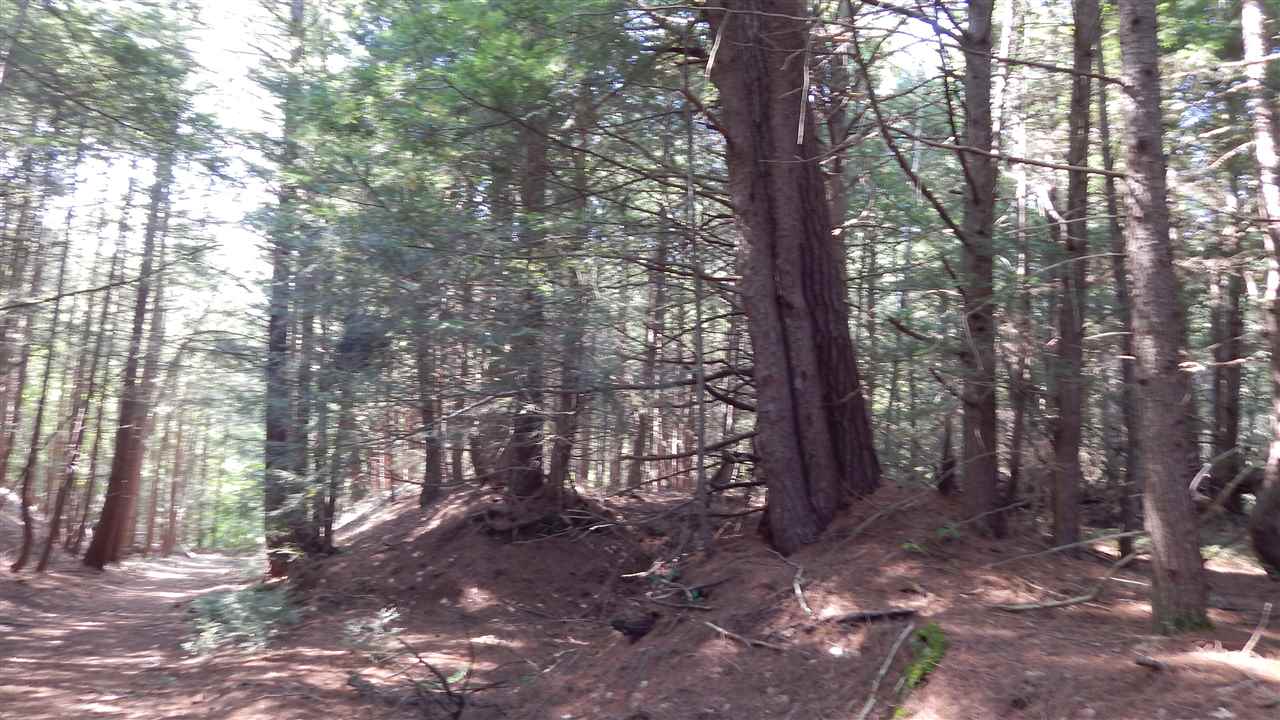 280 Baer Road Rollinsford, NH 03869 - Photo 5 of 24