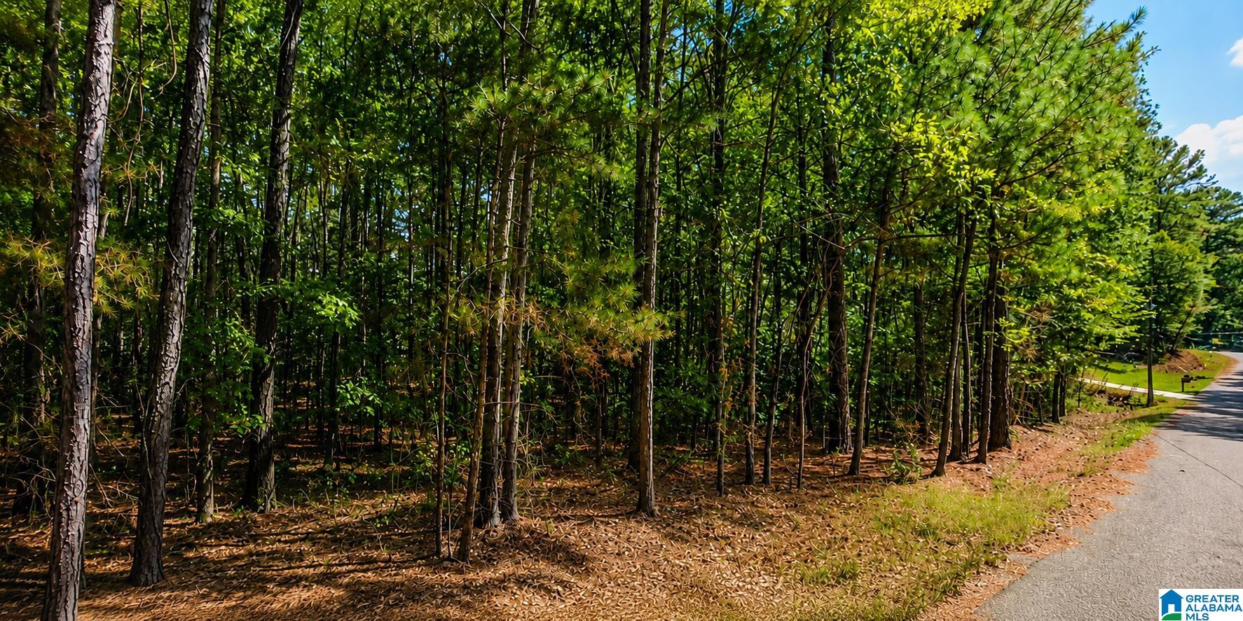 0 Dale Drive McCalla, AL 35111 - Photo 3 of 7