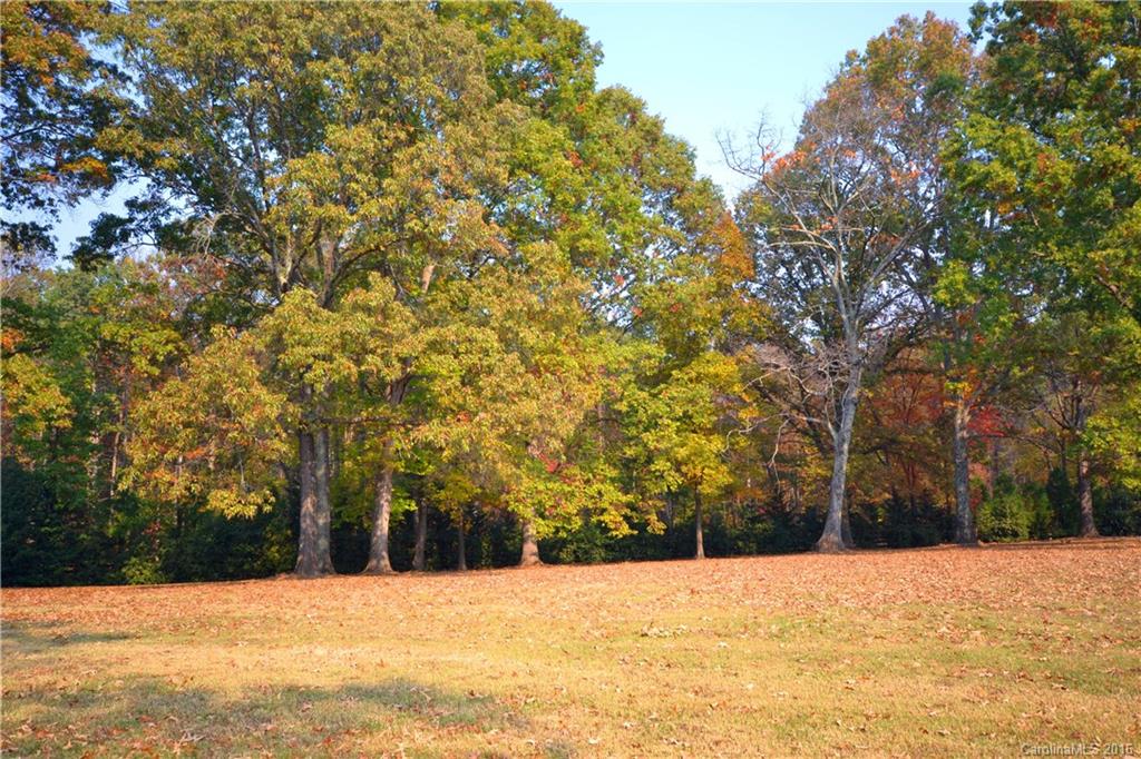 2 Tandem Trail Landrum, SC 29356 - Photo 1 of 14 Gallery Image 1