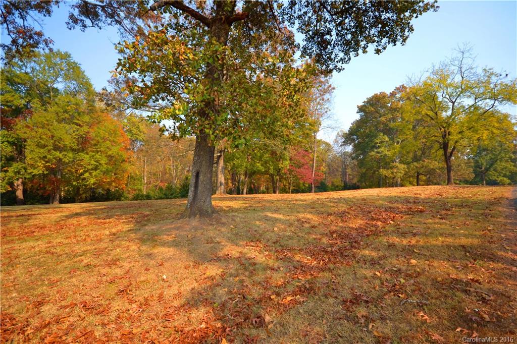 2 Tandem Trail Landrum, SC 29356 - Photo 2 of 14 Gallery Image 2