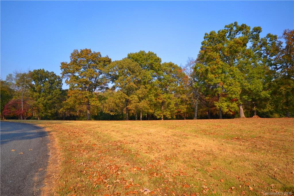 2 Tandem Trail Landrum, SC 29356 - Photo 4 of 14 Gallery Image 4
