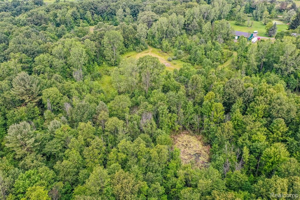3309 Rochester Road Leonard, MI 48367 - Photo 4 of 10