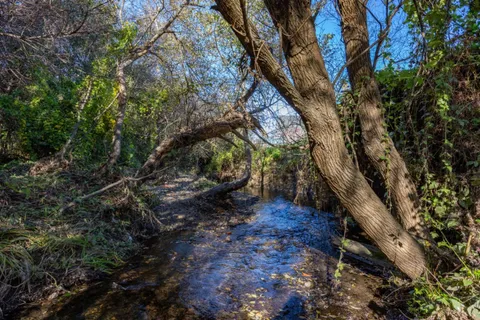 $1,249,000 | 1444 Flores Drive, Pacifica, CA 94044