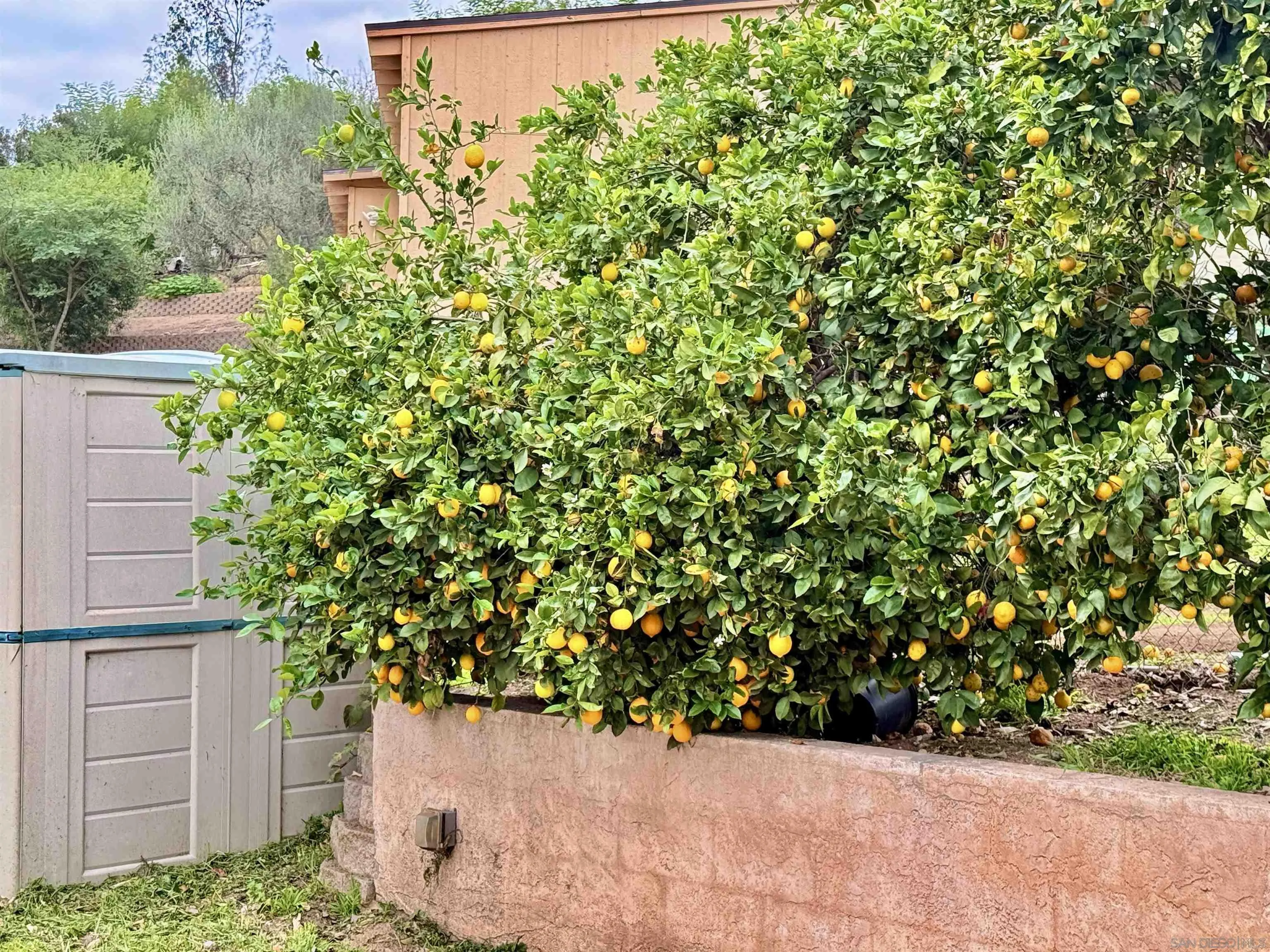 8918 Westhill Road Lakeside, CA 92040 - Photo 50 of 52