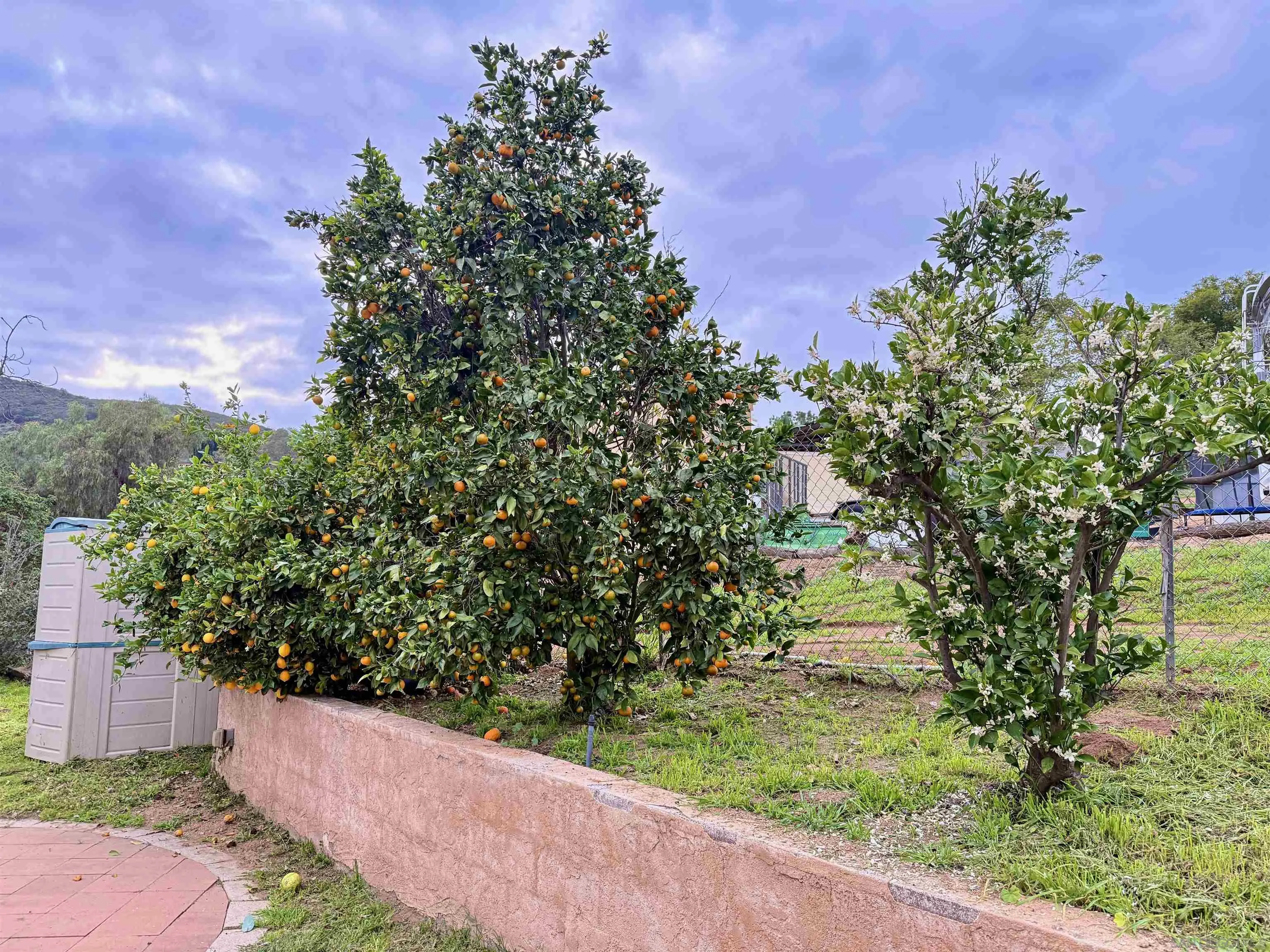 8918 Westhill Road Lakeside, CA 92040 - Photo 51 of 52