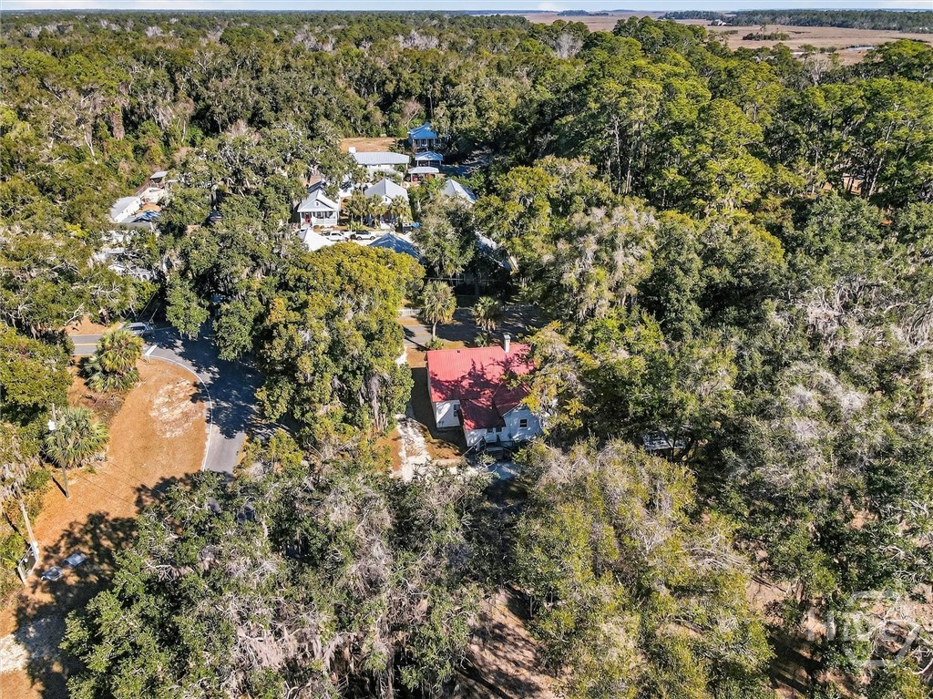 1401 Wayne Street Darien, GA 31305 - Photo 54 of 66