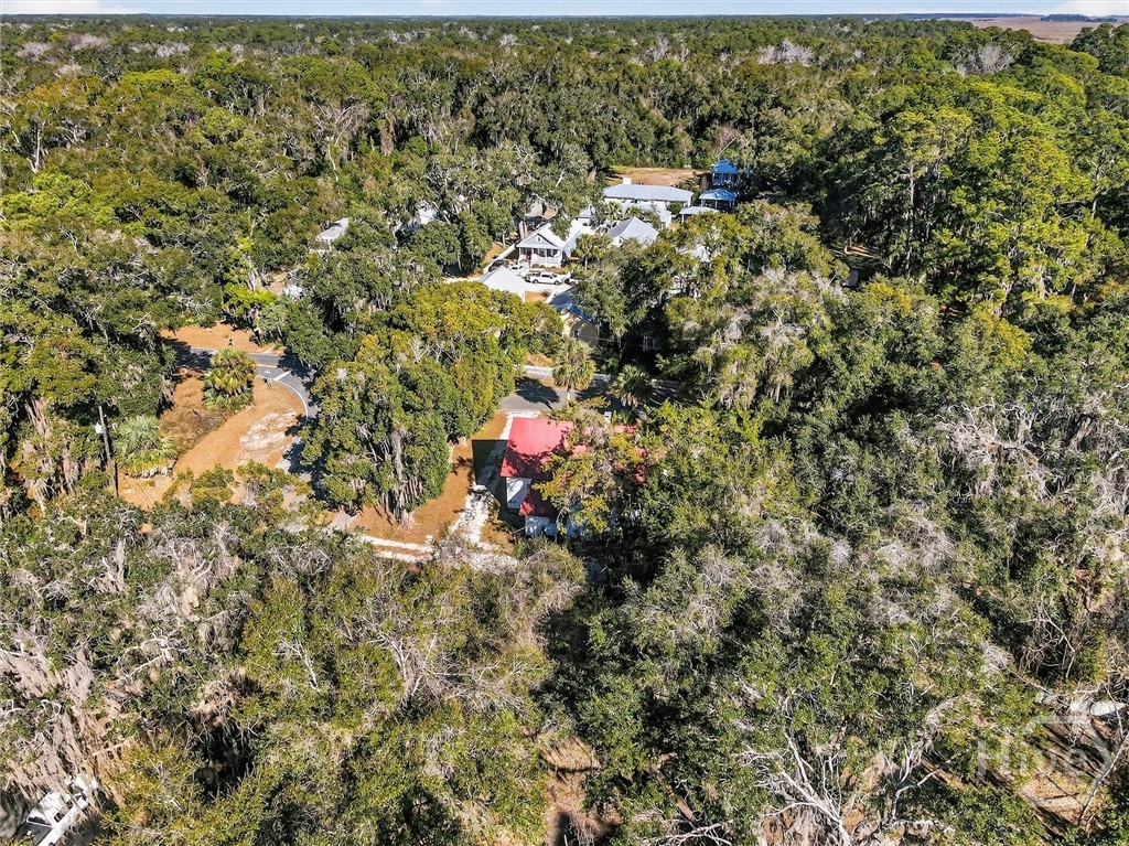 1401 Wayne Street Darien, GA 31305 - Photo 55 of 66