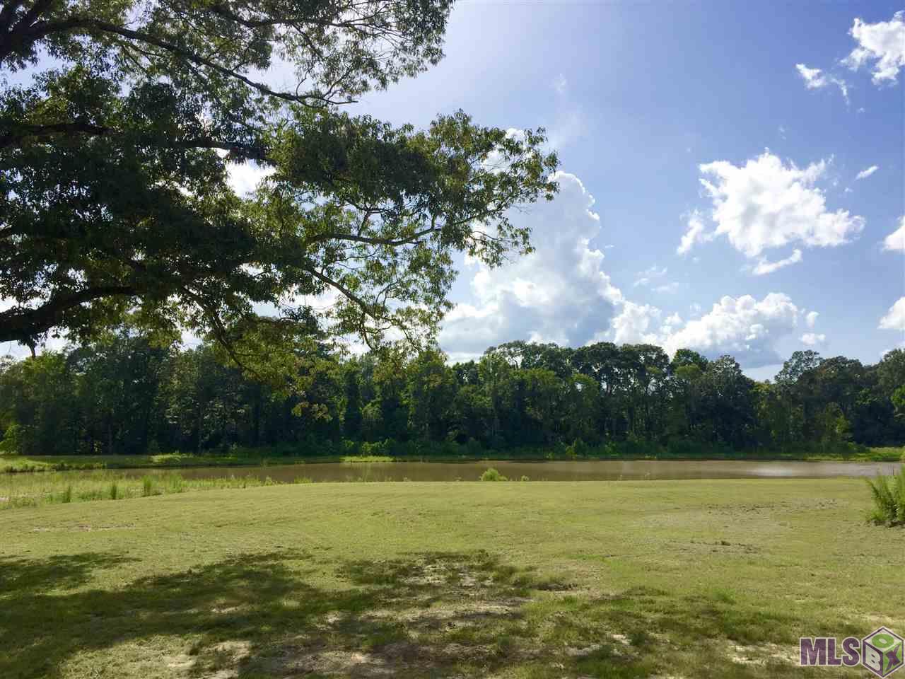 5283 Line Road Ethel, LA 70730 - Photo 1 of 14 Awesome view from your back porch