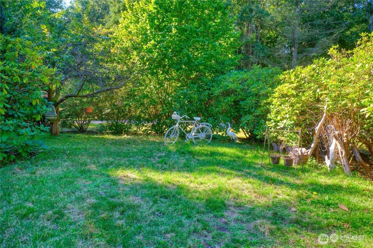 1857 Washington Drive Point Roberts, WA 98281 - Photo 31 of 38 a view of yard with green space