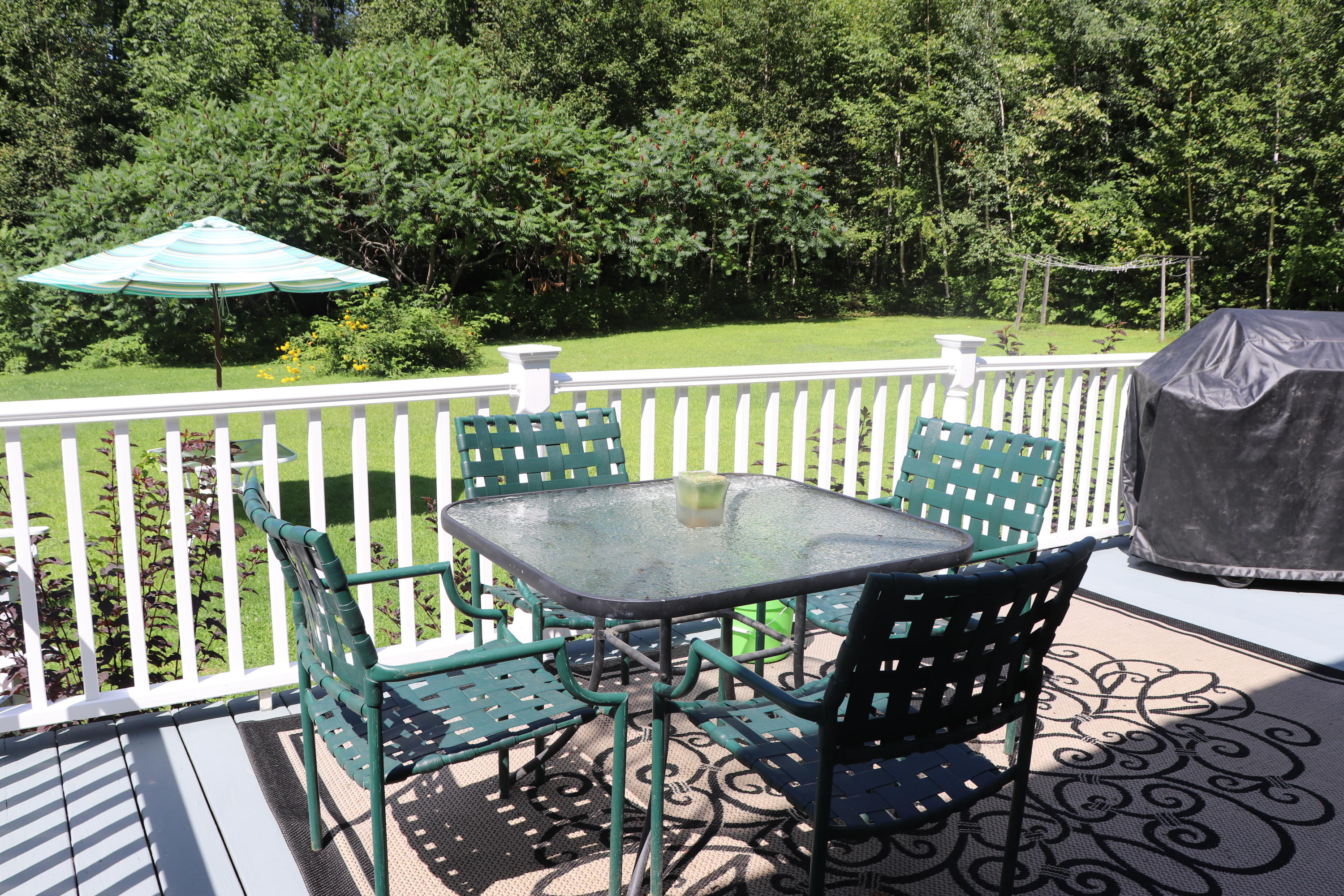1256 Hudson Road Glenburn, ME 04401 - Photo 52 of 73 IMG_2324 - Copy