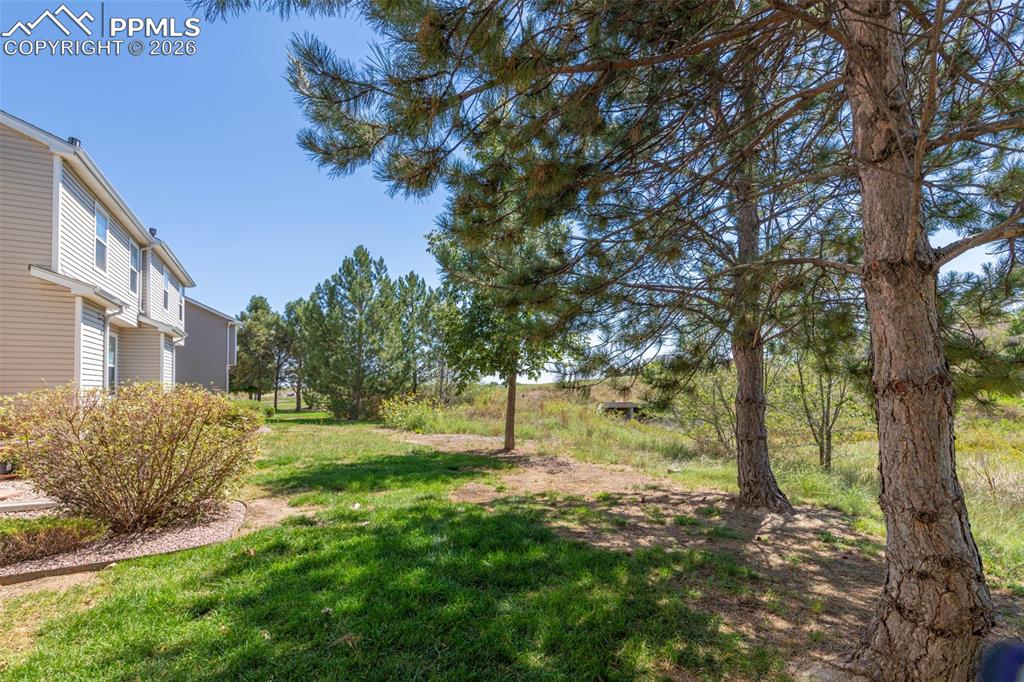 7740 Sandy Springs Point Fountain, CO 80817 - Photo 31 of 34 View of green lawn