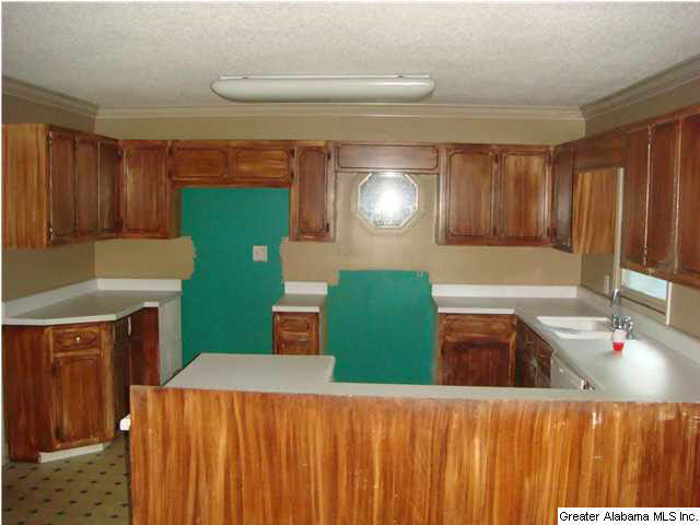 56323 Highway 231 Oneonta, AL 35121 - Photo 11 of 18