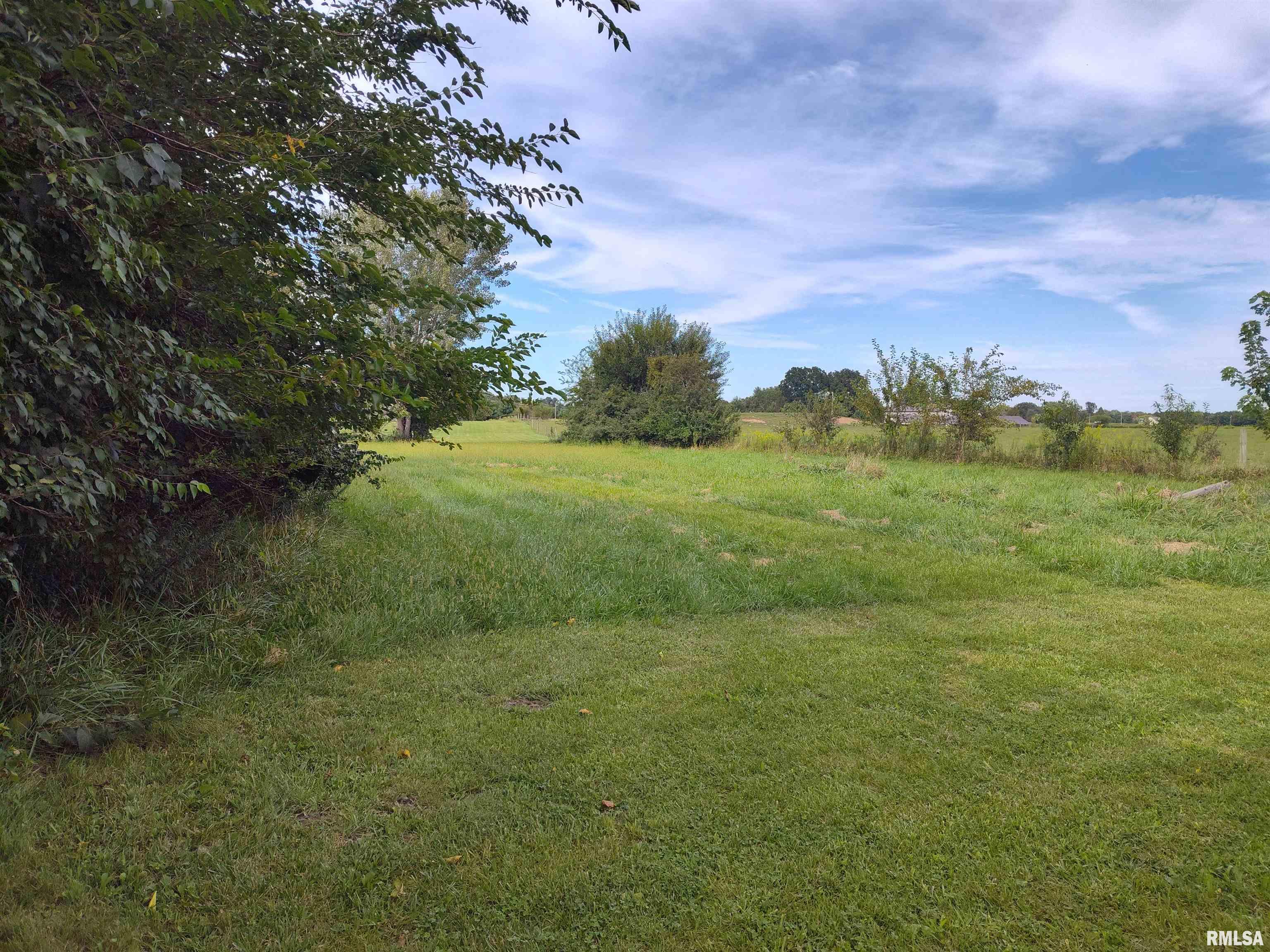 10954 Knoles Road Petersburg, IL 62675 - Photo 5 of 10 Gallery Image 5