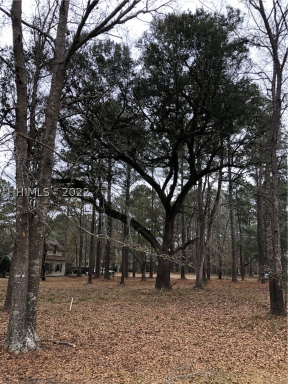 28 Colonel Hazzard Road Okatie, SC 29909 - Photo 1 of 1