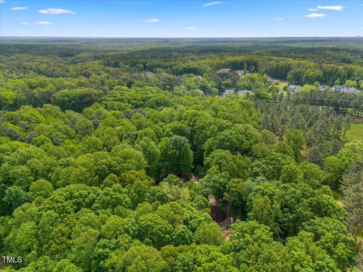 12513 Old Creedmoor Road Raleigh, NC 27613 - Photo 44 of 45 53-DJI_20240430114149_0564_D