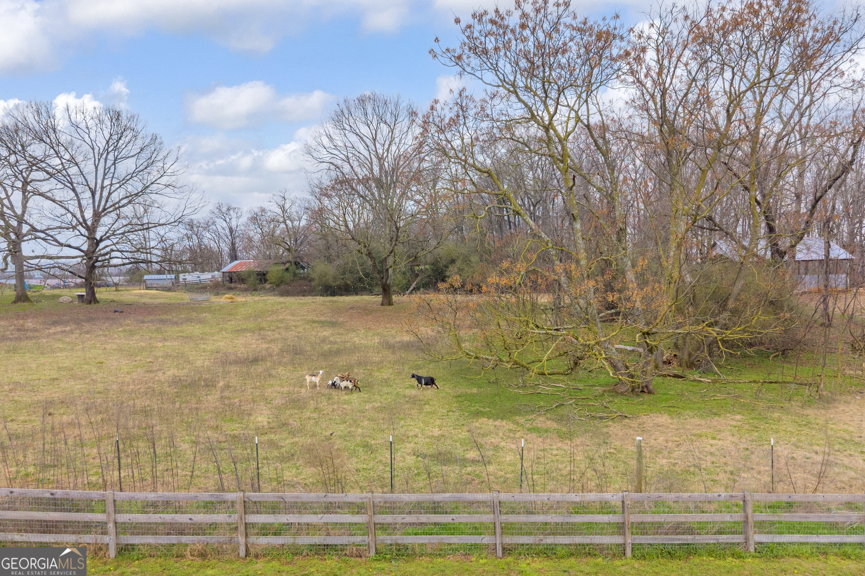 5177 Sandy Cross Road Carnesville, GA 30521 - Photo 95 of 101