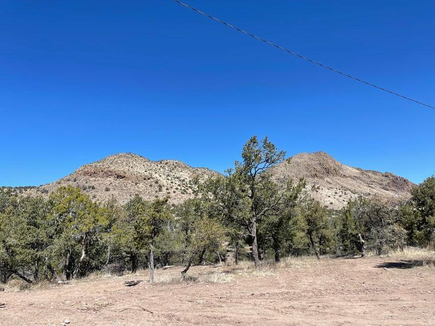 175 Hop Canyon Road Magdalena, NM 87825 - Photo 43 of 55 Gallery Image 43
