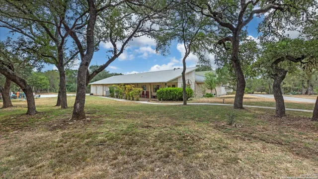 a view of a tree in the middle of a yard