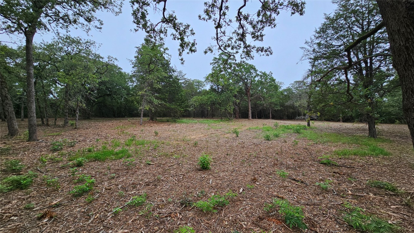 This is the cleared area for home site