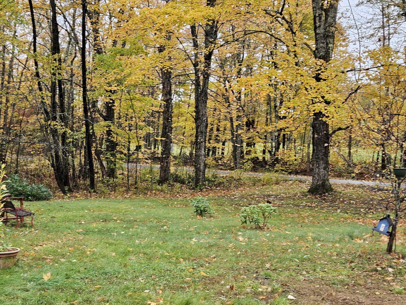 1184 South Solon Road Solon, ME 04979 - Photo 7 of 31 20241014_120116