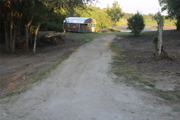 a view of a out door of the forest