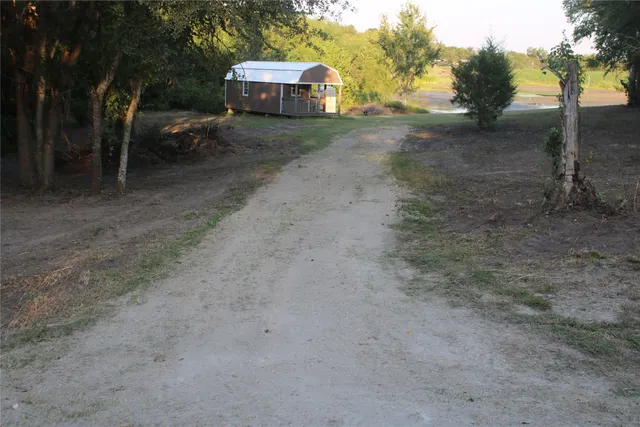 a view of a out door of the forest