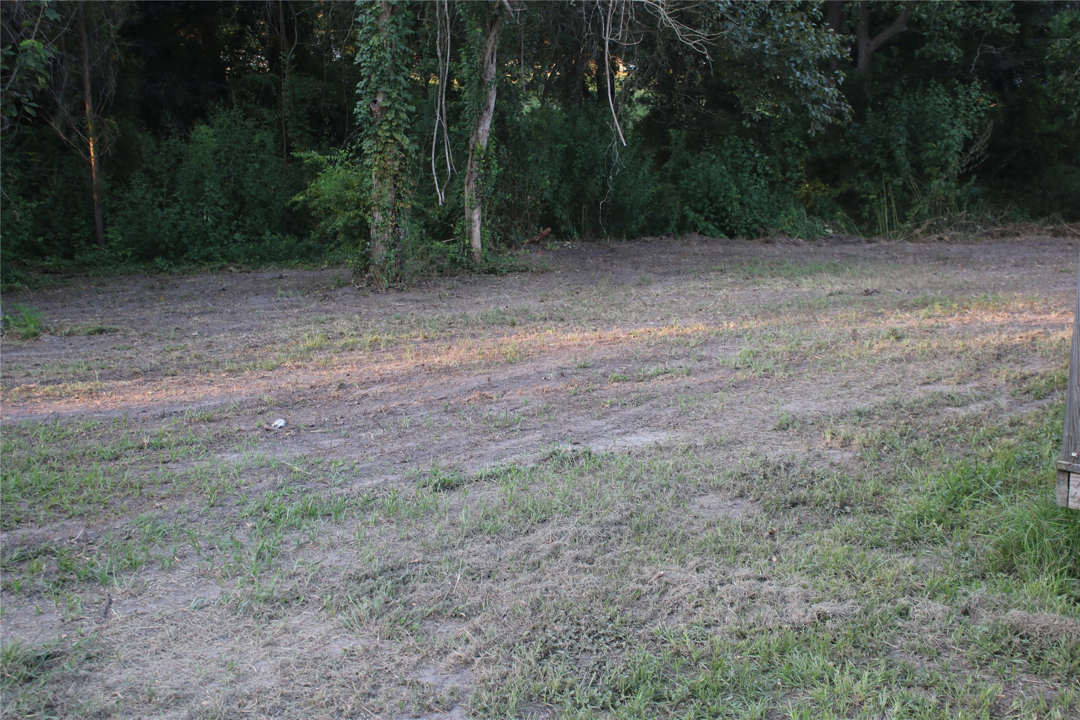 25302 Lk Rdg Drive Navasota, TX 77868 - Photo 12 of 17 a view of a yard with a trees