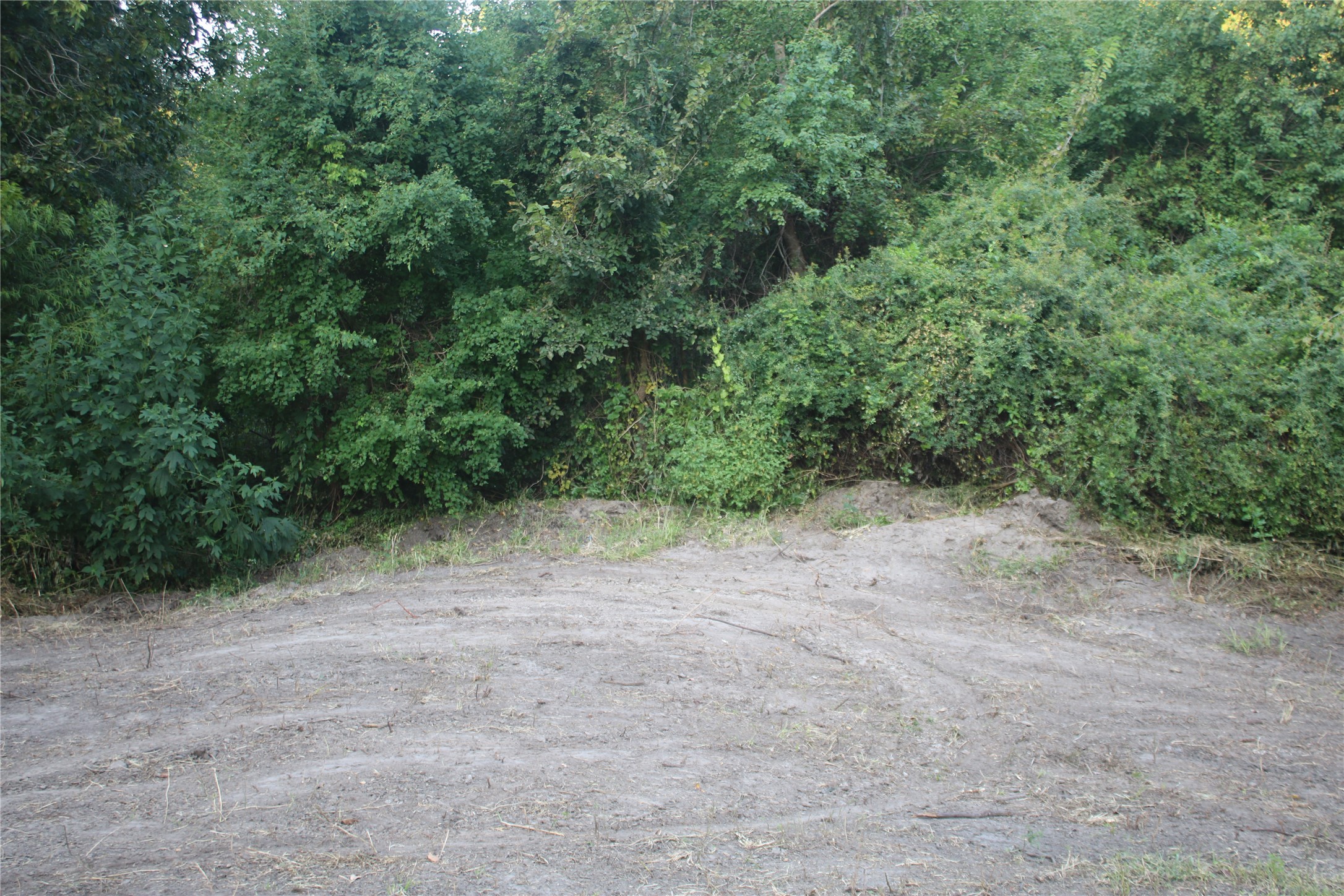 25302 Lk Rdg Drive Navasota, TX 77868 - Photo 15 of 17 a view of a forest with trees in the background