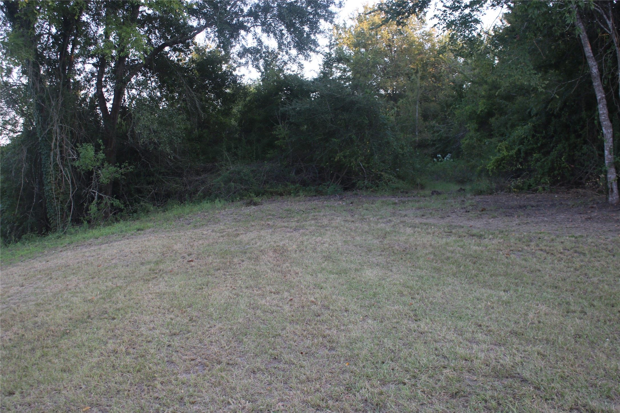 25302 Lk Rdg Drive Navasota, TX 77868 - Photo 16 of 17 a view of a forest with trees in the background