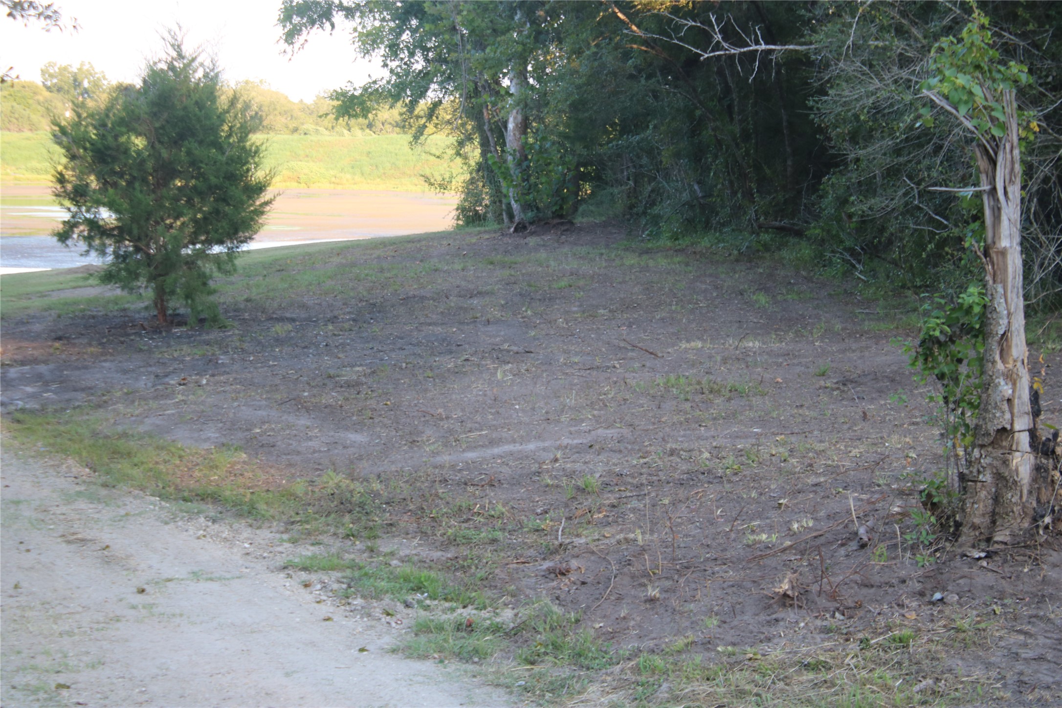 25302 Lk Rdg Drive Navasota, TX 77868 - Photo 4 of 17 a view of a yard with a tree