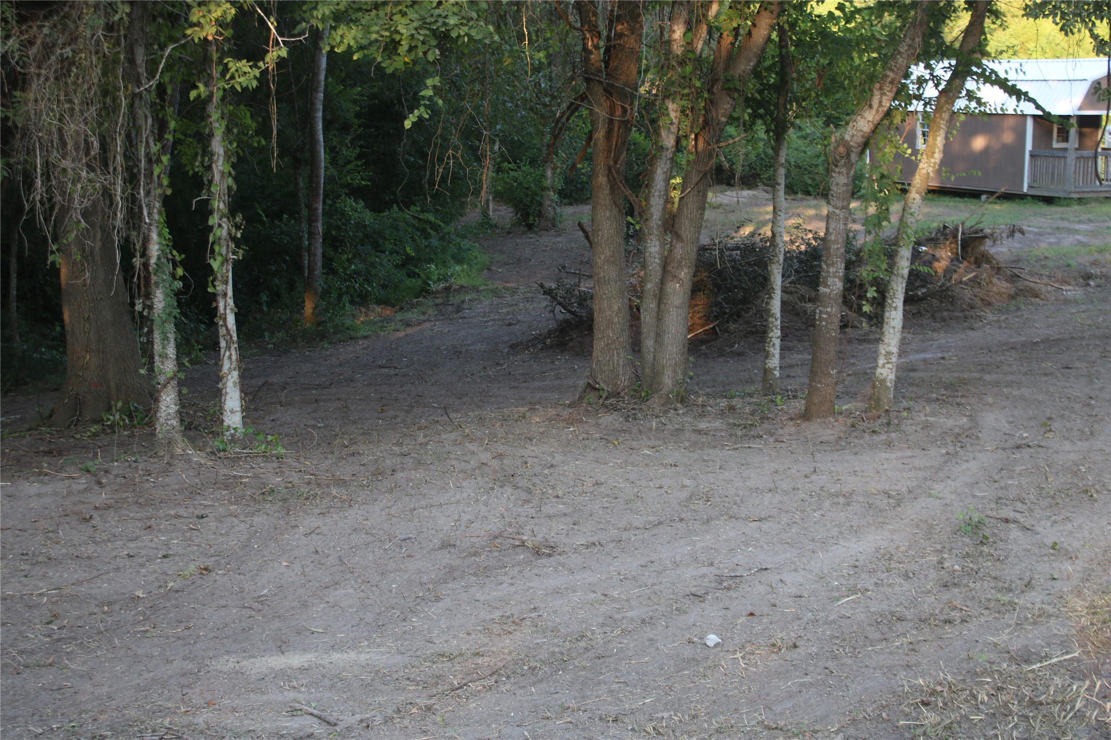 25302 Lk Rdg Drive Navasota, TX 77868 - Photo 10 of 17 a view of a forest with trees in front of it