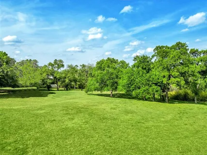 a view of a grassy field with trees