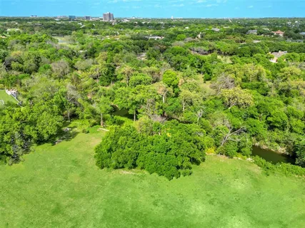 a view of a lush green space