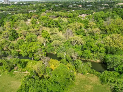 a view of a big yard with plants and large trees