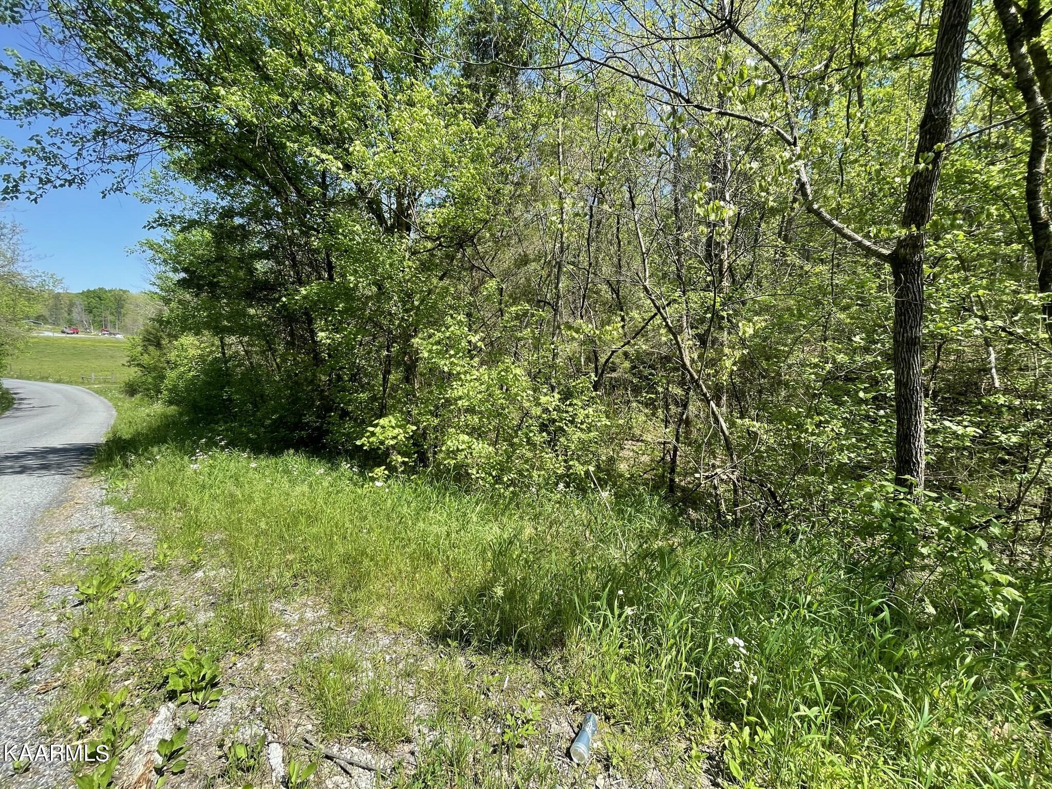 1.43-acre Mt Harmony Road Tellico Plains, TN 37385 - Photo 11 of 37 9421A58E-3F73-4A94-BC1F-E71DCB846EDA