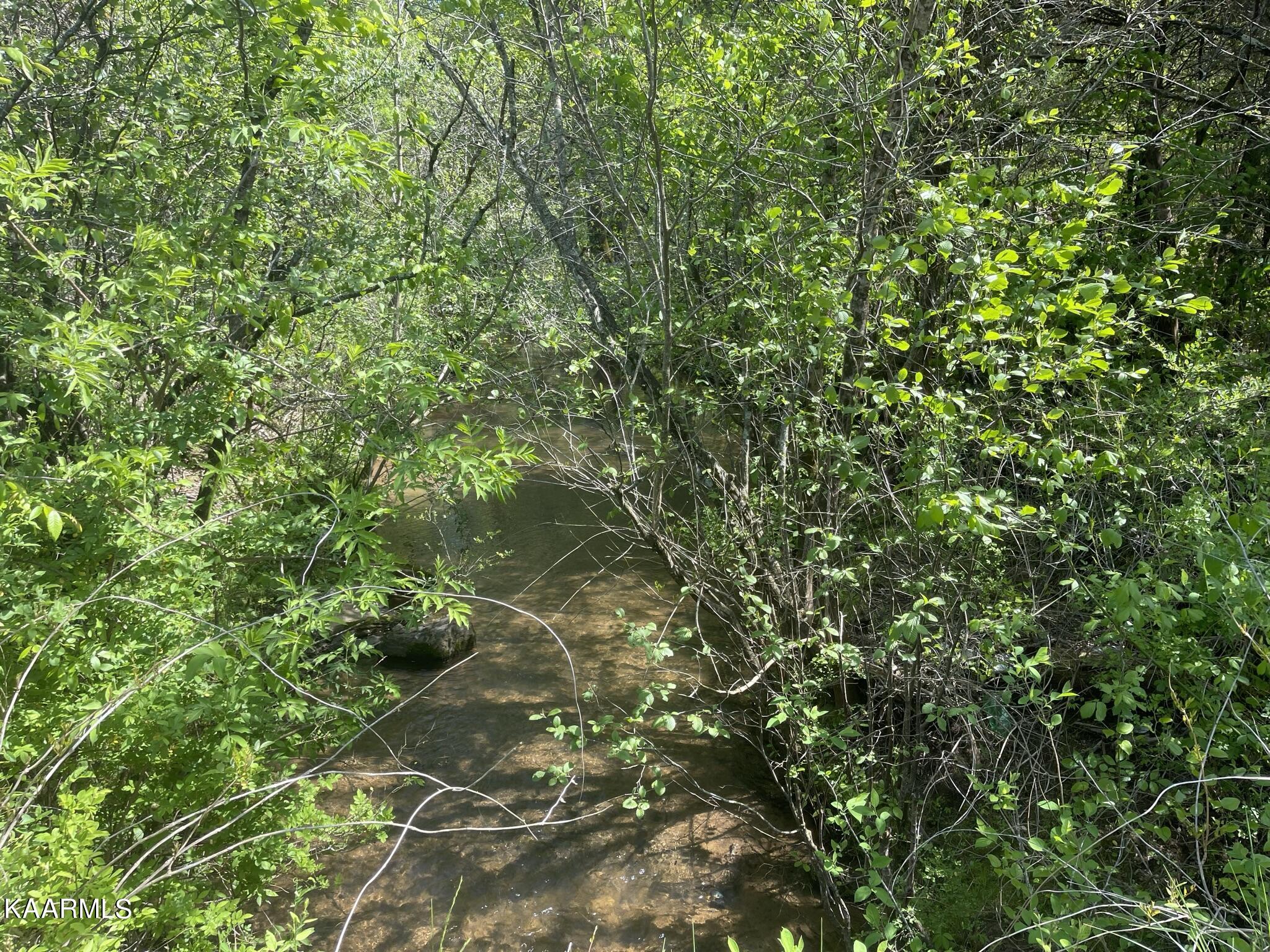 1.43-acre Mt Harmony Road Tellico Plains, TN 37385 - Photo 2 of 37 9DC50A31-0BE2-4DD6-899D-C64480509C85